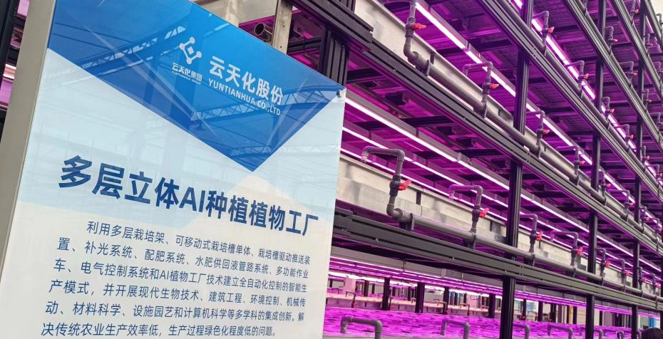 有一種叫云南的生活 | “遇見(jiàn)云花·邂逅彩虹”網(wǎng)絡(luò)大V走進(jìn)云天化